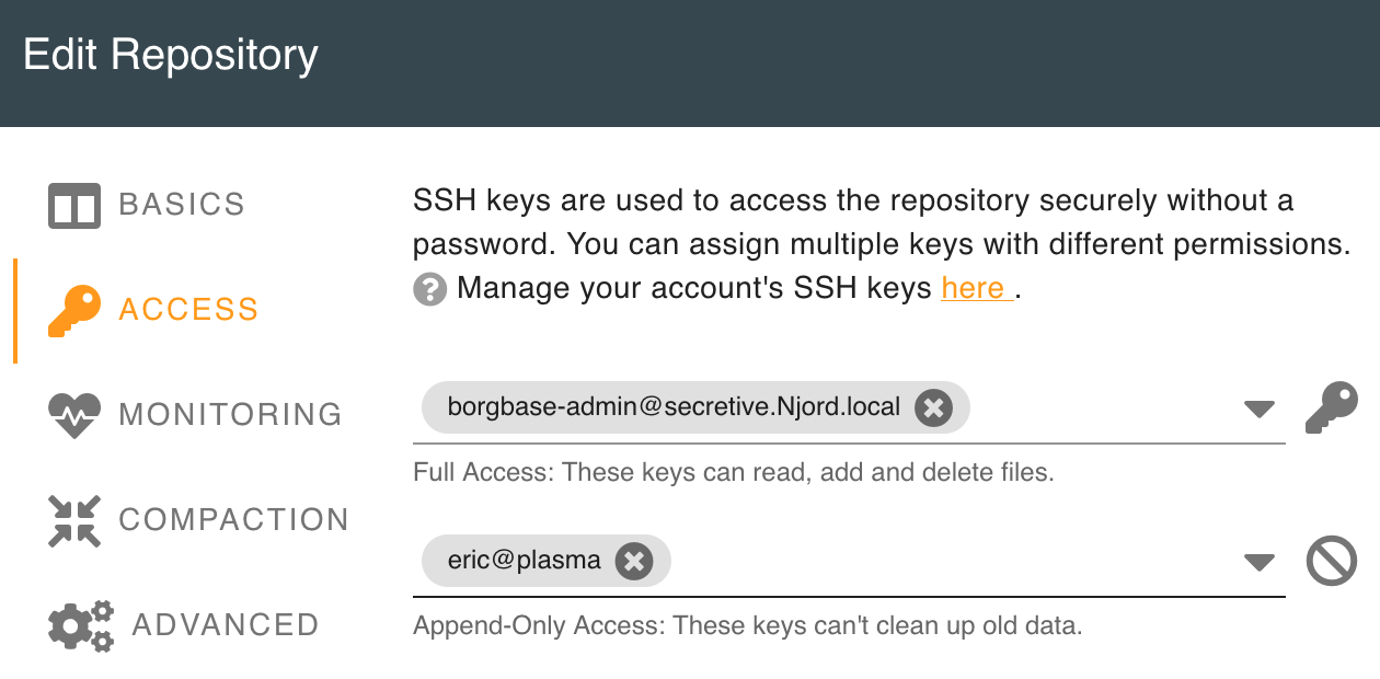 Picture of BorgBase configuration interface, showing the Append-Only and Full Access fields